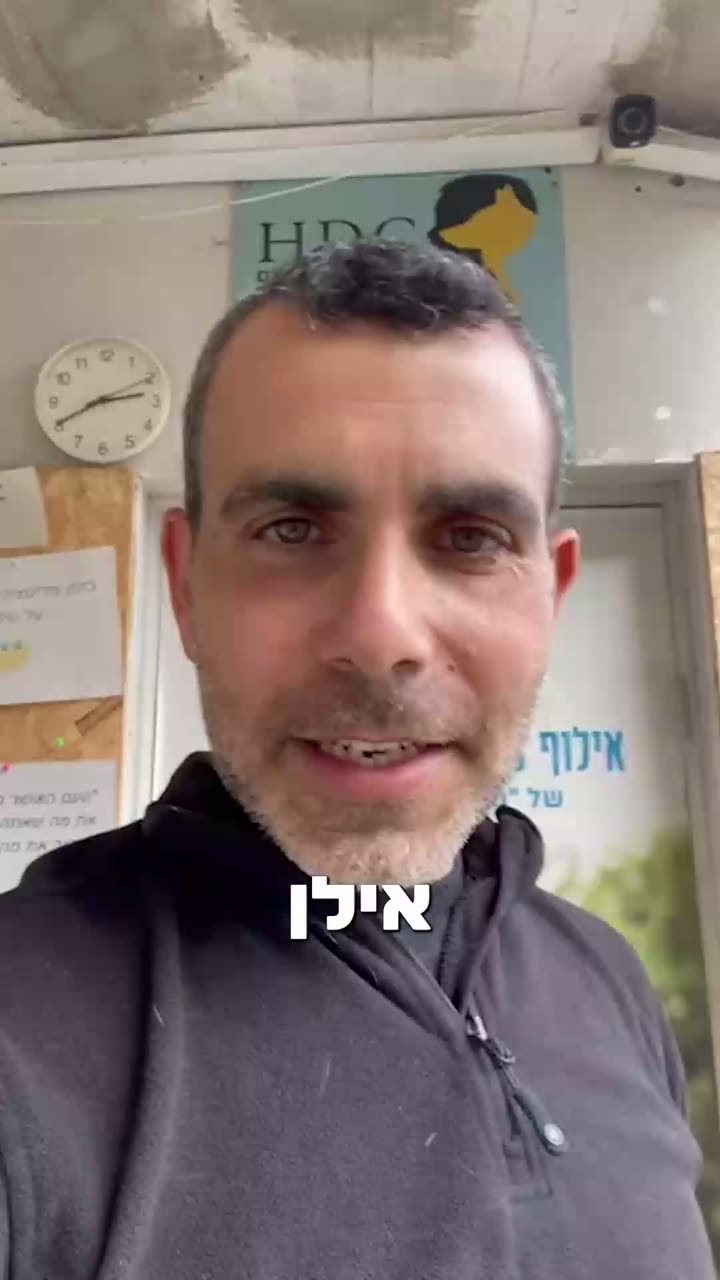 לקט המלצות - אילן גולד